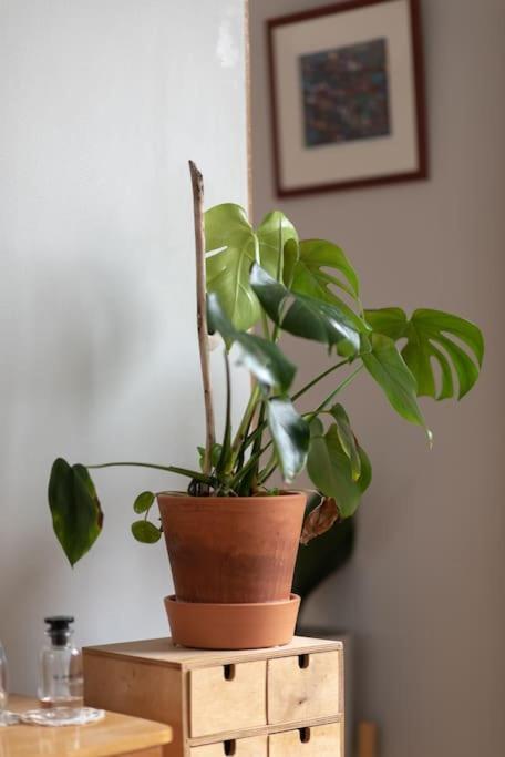 Appartement Modern In Prime Location - Professional Host - Fully Equipped Oslo